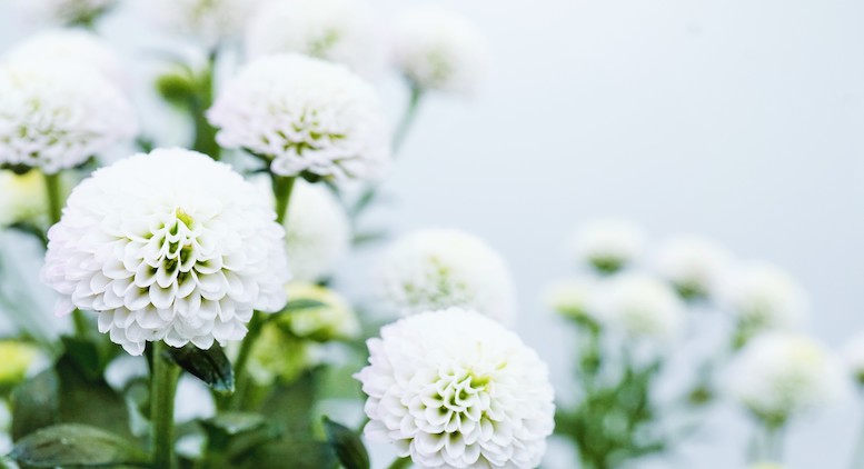 俳優・西園寺章雄さん死去 享年77歳 時代劇や朝ドラで活躍