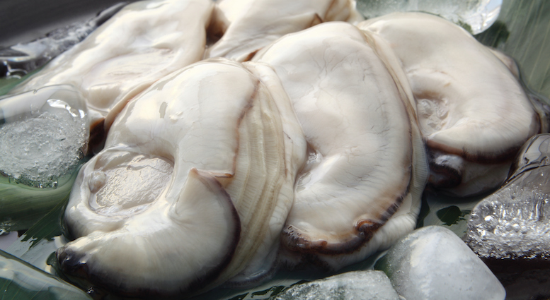 牡蠣の「血液」がスーパーバグ（多剤耐性菌）との闘いに新たな希望